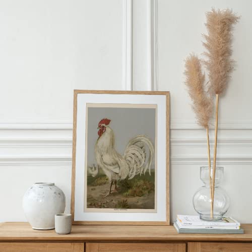 Ink Inc. Chicken Prints Wall Art | Rooster Kitchen Décor Cottagecore Boho Farmhouse Design | Set Of 6 8X10 Unframed #TOP7