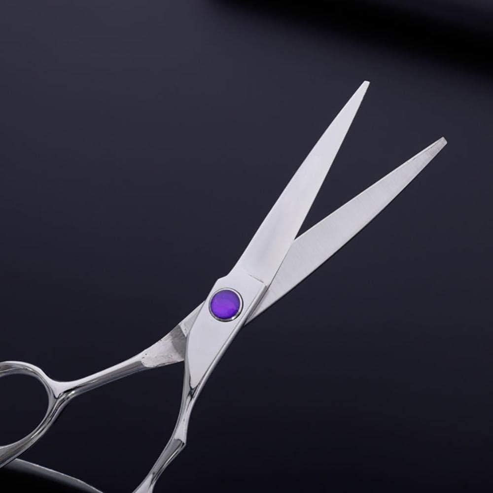 Set Forbici Da Parrucchiere Con Delicato Manico A Drago 15 Cm Argento-5,5" Barbieri Da Salone O Per Uso Domestico (5.5in)