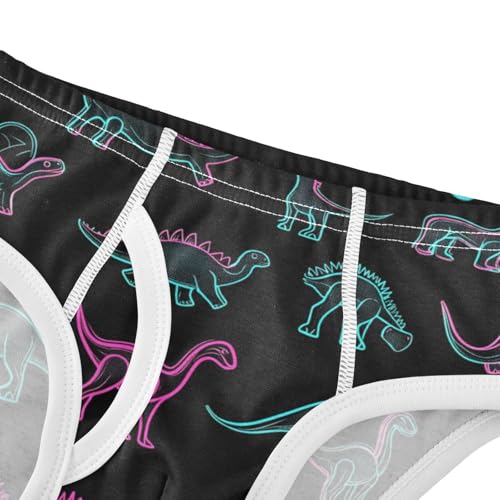 Wusikd Dinosaurs Boys' Underwear Cotton Cartoon Boys Briefs Soft Toddler Underwear 2T4