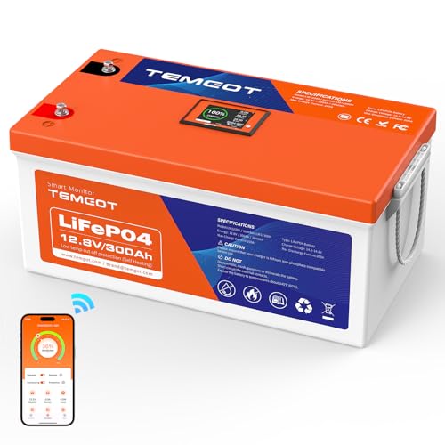 TEMGOT 12V 300Ah Self-Heating LiFePO4 Lithium Battery with Smart Touch Screen & Bluetooth App, Built-in 200A BMS, 2560W Power, 5000+ Cycles, for RV, Camper, Solar, Off-Grid