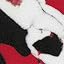 Black/Red/White/Splash