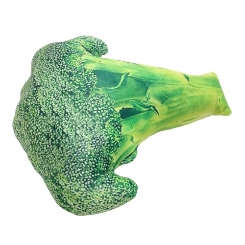 Peluche de brocoli pour la maison cadeau original et coussin de lecture unique