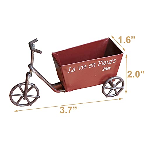 image for CLYTTE Mini Metal Wire Bicycle, Miniature Rustic Tricycle with Red Buc