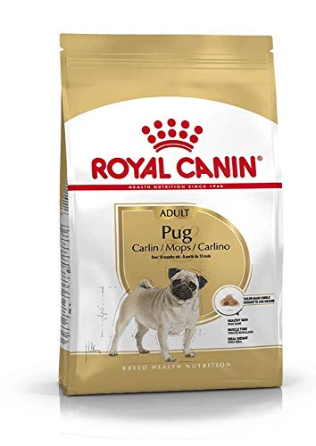Royal Canin Mops, 7,5 kg