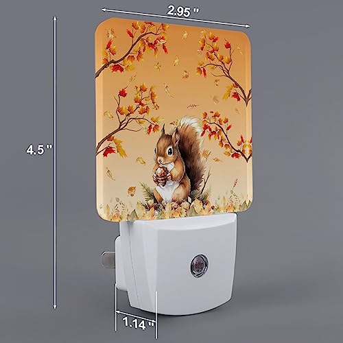 Image of Night Light Plug in LED Night Lamp Automatic Sensor Kids Night Lights Plug into Wall, Thanksgiving Fall Autumn Squirrel Maple Leaves Fall Square Night-Lights for Bedroom Bathroom Kitchen Hallway Decor