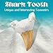 Amazing Gemstone Real Dinosaur Animal Shark Teeth Fossil 1 Piece - Great White Shark Tooth Fossil Collection for Kids Education for DIY Crafts - Large Shark Teeth Bulk Set