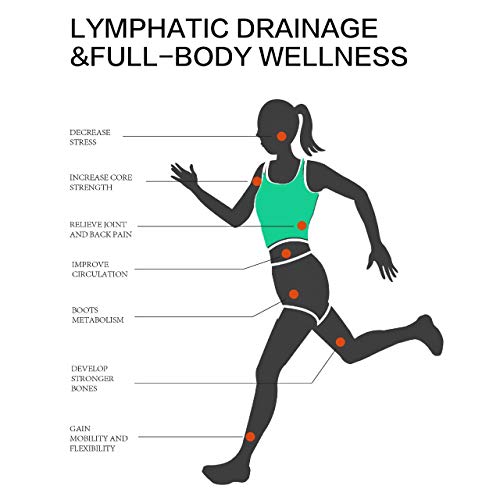 EILISON Bolt Vibration Plate Exercise Machine - Full Body Workout Vibration Platform w/Loop Bands - Home Fitness Equipment for Weight Loss, Toning & Wellness, 99 Levels (Elegant Silver) - Home Fitness Guru EILISON Bolt Vibration Plate Exercise Machine - Full Body Workout Vibration Platform w/Loop Bands - Home Fitness Equipment for Weight Loss, Toning & Wellness, 99 Levels (Elegant Silver) - Image 4