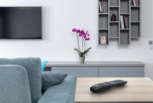 Télécommande universelle Samsung prête à l'emploi Smart TV - 4