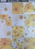 Darkroom Door A4 Gerberas Pearlescent Paper, Pack of 10, Yellow/ White