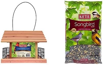 Bundle of Kaytee Cedar Seed and Suet Feeder + Kaytee Wild Bird Songbird Blend Food Seed, 7 lb