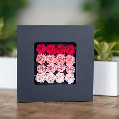 Khiva Valentine's Day Miniature Preserved Roses in Wood Frame, 16-Piece Pink Flowers, Birthday Roses, Home Décor, Flowers for Delivery Prime Birthday, Forever Roses Gifts for Her, Eternal Roses