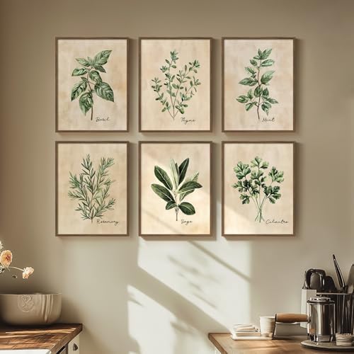 Framed Sage Green Botanical Wall Art for Kitchen, Set of ...