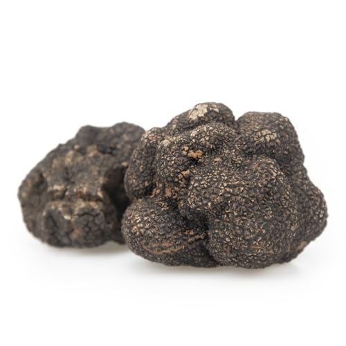 Trufa Negra de Primera - Tuber Melanosporum Fresca - Calidad Gourmet (30gr)