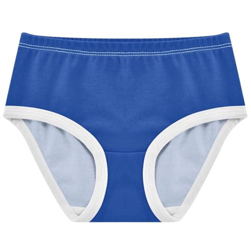Joisal Florals Girls Underwear Toddler 2t Cotton Cute Panties Girl Dark Powder Blue Undies Kids Briefs