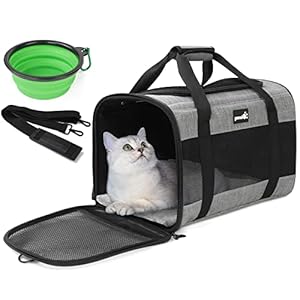 pecute® Pet Carrier Bag, Cat Carrier Handbag, Portable Dog Travel Bag with Foldable Bowl, Breathable Mesh Fabric, Suitable for Both Long And Short Trips, Used for Cats and Puppies Under 5KG (M,Grey)
