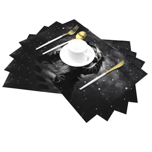 Sets de table PVC lavables pour cuisine et décoration de table motif nébuleuse - 4