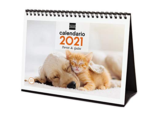 Finocam - Calendario de sobremesa 2021 Escribir Imágenes Perros y gatos Español