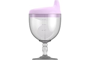Princess Themed No Spill Wine Glass