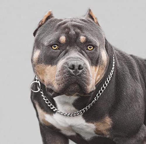 Gold Chain Dog Collar, Thick Metal Stainless Steel Cuban Chain Links Personalized For Large Dogs Walking, Chew Water-Proof Puppy Necklace（Every Links Welded #TOP1
