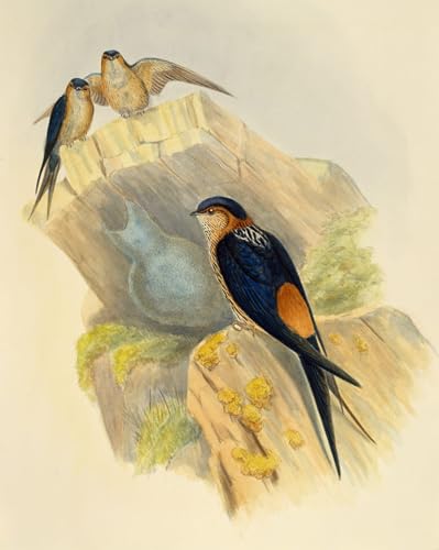 Tableaux Moderne Toile Oiseau Hirondelle pour Sublimer la Chambre à Coucher