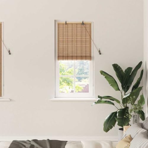 Estor Enrollable Con Bambú Natural, Filtrado De Luz Y Privacidad, Estores Enrollables, Estor Ventana, Adecuado Para Salón Y Dormitorio, Marrón Claro, 60 x 160 cm, Número De Artículos 1