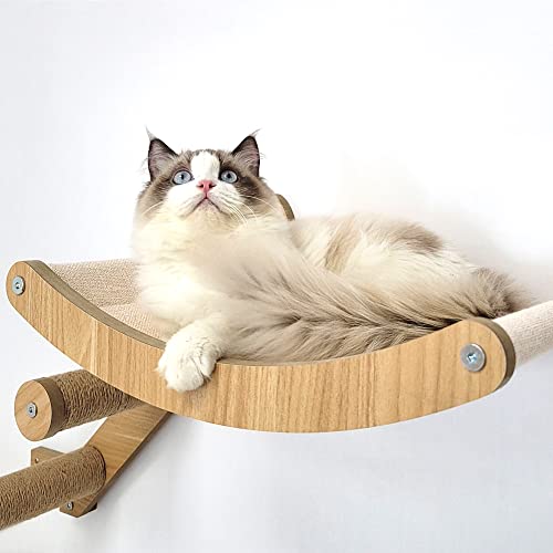 Top 10 Best Cat Hammock For Wall Reviews & Buying Guide Katynel