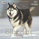 siberian husky welpen mit blauen augen kaufen  Siberian Husky 2022 Calendar: Special gifts for all ages and genders with 18-month Mini Calendar 2022