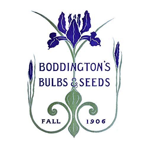 Wee Blue CooVintage Advert Boddingtons Seeds Bulbs Fall 1906 Unframed Art Print Poster Wall Decor 12x16 inch