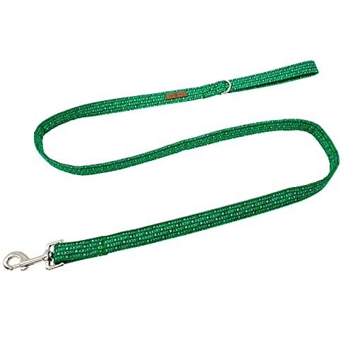Lionet Paws St Patricks Day Dog Leash Matching Dog Collar for Small Medium Large Dog