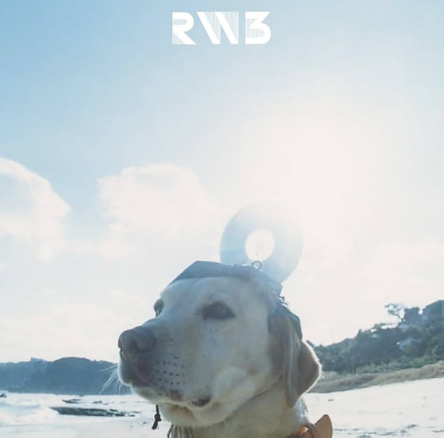 RADWIMPS 3 ~無人島に持っていき忘れた一枚~ アナログ盤 Amazon.co.jp: RADWIMPS3~無人島に持っていき忘れた一枚