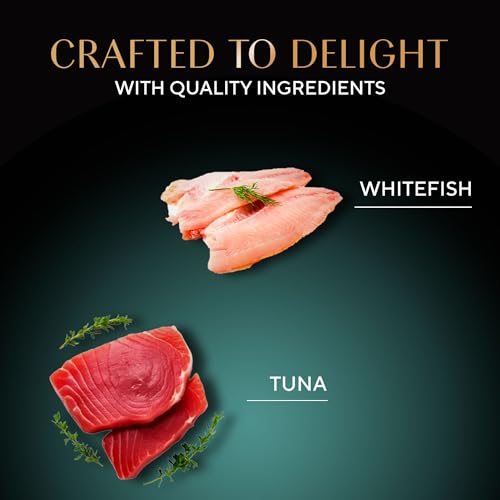 Image of Sheba Deluxe Premium Adult (1+ Years) Wet Cat Food, Tuna Fillets in Jelly, 85 g Can, High-moisture wet food for healthy hydration