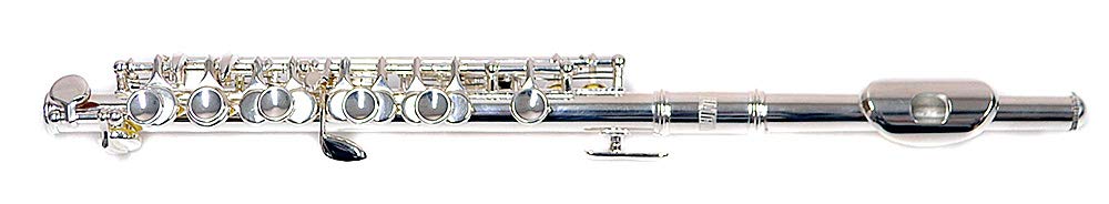 【極美品】ピッコロPLAYTECH PTPC-100 PLAYTECH ( プレイテック ) PTPC-100 ピッコロ 送料無料 | サウンドハウス