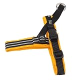 ComfortFlex Sport Dog Harness – No-Choke, Fully Padded, Non-Chafing Harness with Control Handle – Reflective, Lightweight, Adjustable for Active Dogs - XXSmall, Saffron Yellow