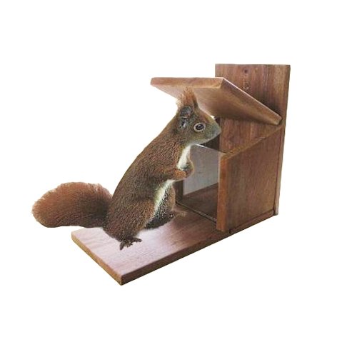 Preisvergleich Produktbild Futterstat. EICHHÖRNCHEN Massivholz