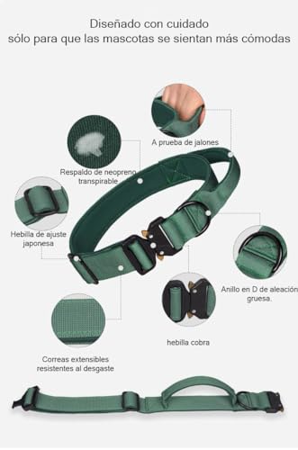 Collares para perros 14 Imagen adicional
