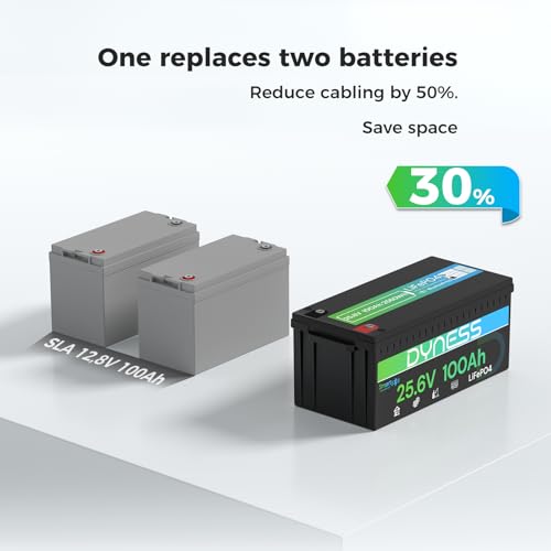 Image of Dyness 24V 100Ah LiFePO4 Lithium Battery with Bluetooth, Deep Cycle Rechargeable Battery with Low-Temp Protection, 2560W Max for Off-Grid Solar, RV, Camper, Trolling Motor, Home Use