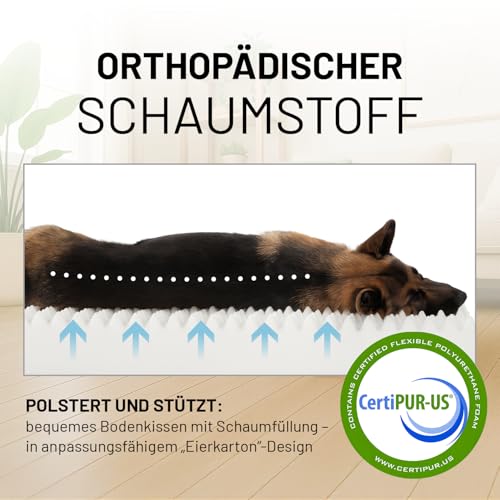 Lumaland orthopädisches Hundebett aus Cord | ergonomisches Hundesofa 70x60 cm - für kleine Hunde | Boden rutschfest | Füllung und Bezug waschbar | Hundekörbchen mit Memory Schaumstoff