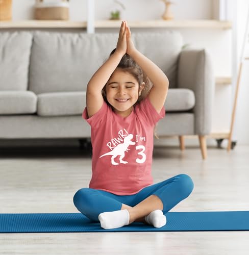 rawr im 3 Year Old Girl Birthday Shirt Dinosaur Roar Three 3rd Toddler Outfit Third4