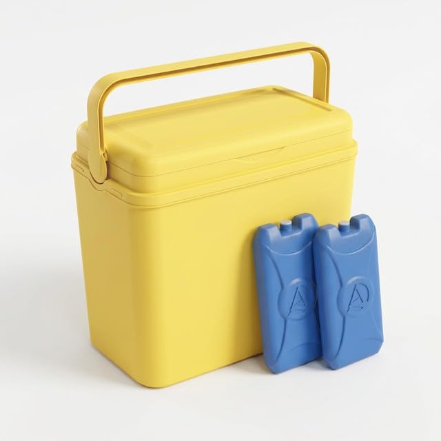 URBNLIVING 24L Cooler Box, Insulated Plastic Ice Box with Air Tight Locking Lid & Fold Away Handle, Durable Portable Food & Drinks Storage for Camping Picnic Beach BBQ