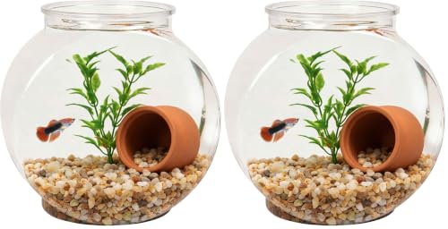 Image of Koller Products 1-Gallon Fish Bowl, Shatterproof Plastic with Crystal Clear Clarity (Pack of 2)