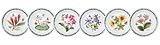 Portmeirion Exotic Botanic Garden Bread and Butter Plate, Set with 6 Assorted Motifs