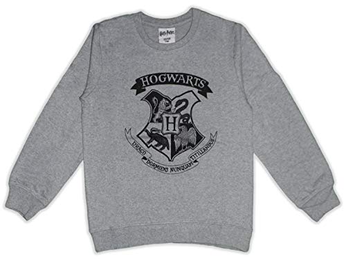 Harry Potter Hogwarts Sudadera de manga larga Algodón Francés Terry