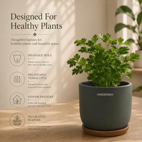 Image of Habere India-All the Cultures Fabricating India Plant Pot with Wooden Plate | Flower Pots for Dining Table & Home Decor | Terracotta Pot for Living Room Decoration (Dark Gray, Dia11 x H9.5 cm)