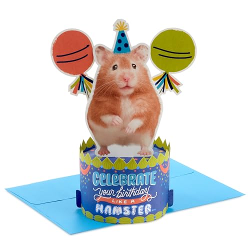 Hallmark Paper Wonder Geburtstagskarte „Celebrate Like A Hamster“ – Lustige Pop-Up-Karte Mit Umschlag