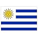 Supstick - Lote de 8 pegatinas autoadhesivas de la bandera de Uruguay, 3 x 2 cm