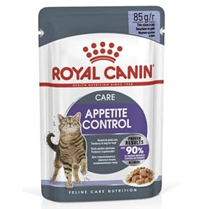 Royal Canin Appetite Control in Jelly Wet Adult Cat Food (12 x 85g)