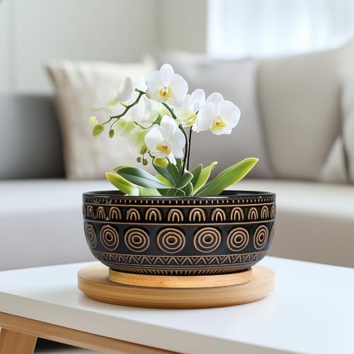 Eightpot Bonsai-Blumentöpfe aus Keramik, 20,3 cm, rund, für Sukkulenten und Zimmerpflanzen, niedriger Topf mit Drainageloch und Tablett… – Ansicht 6
