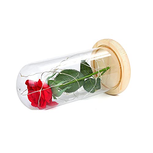 iSintek Kit de rosas de beleza e a fera, rosa de seda vermelha, presentes românticos para aniversári