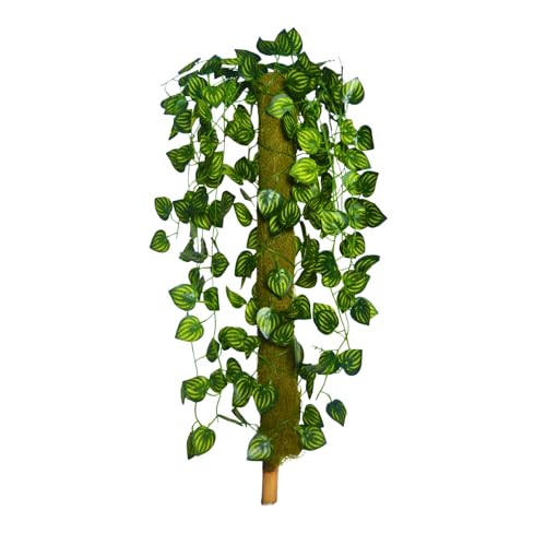 Image of fancymart Artificial Green Leaf Hanging Creeper on Moss Stick (Without Pot) - 60 cm Tall Hanging Creeper Plant for Indoor Home, Office, Restaurant & Cafe Decoration