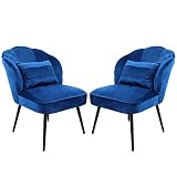 ECOMEX Velvet Accent Chair Set of 2,Living Room Chair Set, Velvet Single Sofa Chair, Modern Leisure
